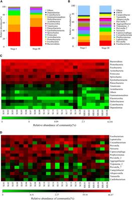 The oral microbiome in young women at different stages of periodontitis: Prevotella dominant in stage III periodontitis